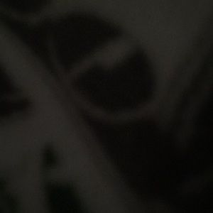 Meet your Posher, Sydney